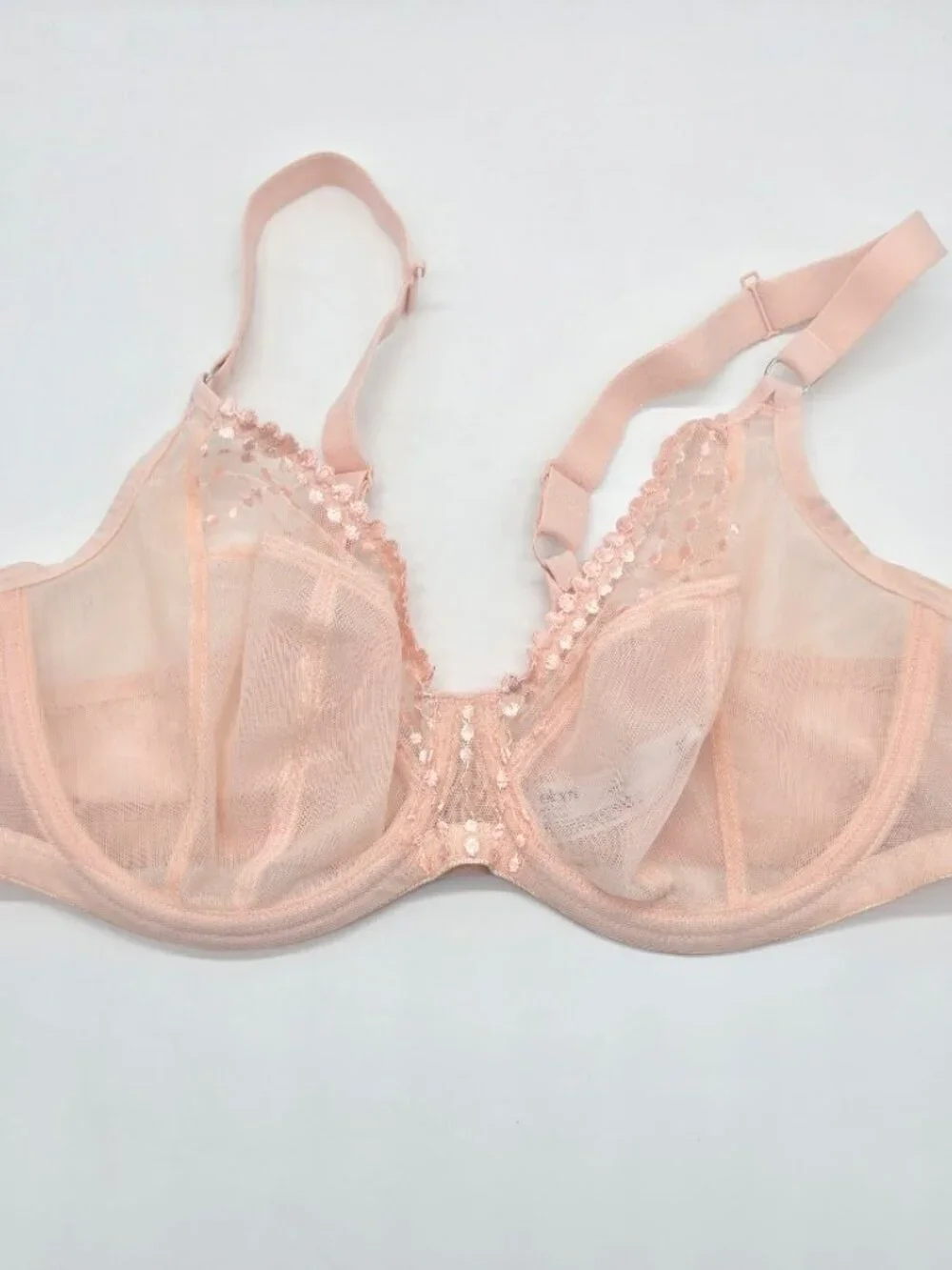 Sheer Embroidered Full-Coverage Bra in Blush Pink